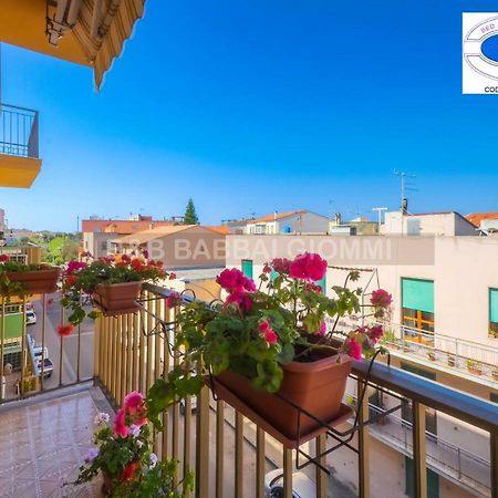 Babbai Giommi Bed & Breakfast Alghero Eksteriør bilde